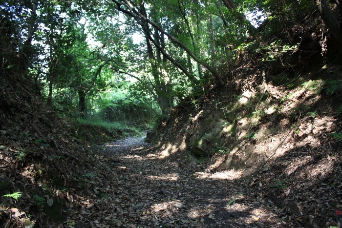 岡山公園