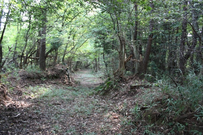 岡山公園