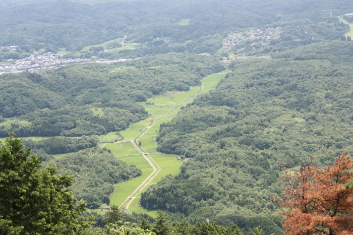 三国越林道