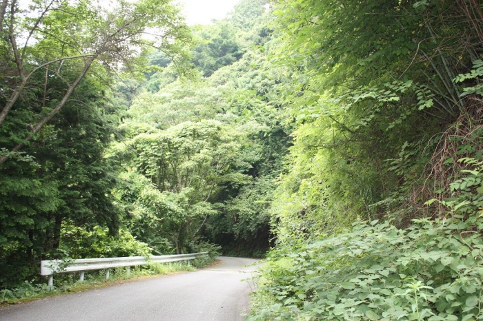 三国越林道