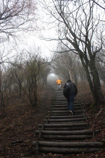 尼ヶ岳（伊賀富士）