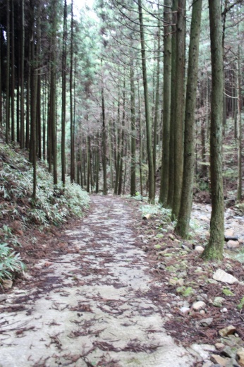 尼ヶ岳（伊賀富士）