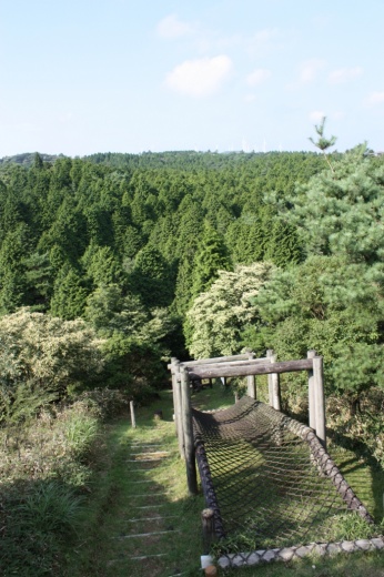 青山高原