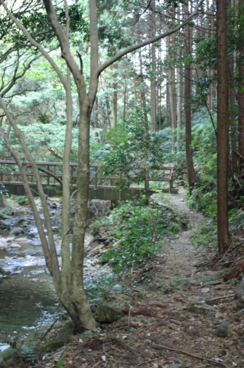 青山高原ハイキングコース