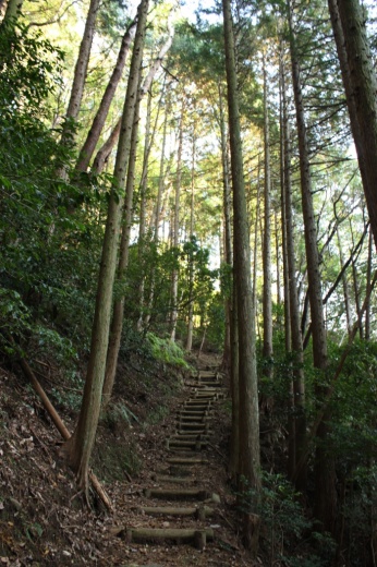 青山高原ハイキングコース