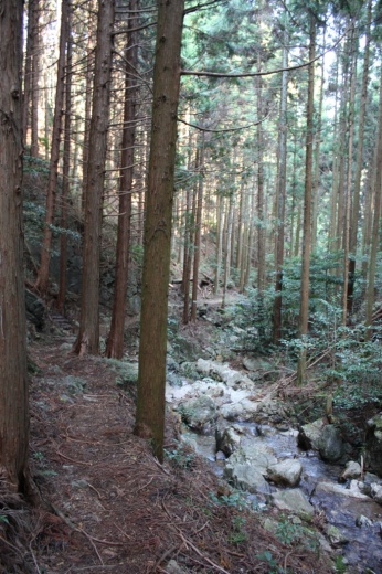 青山高原ハイキングコース