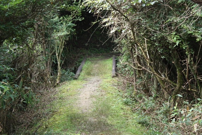 青山高原