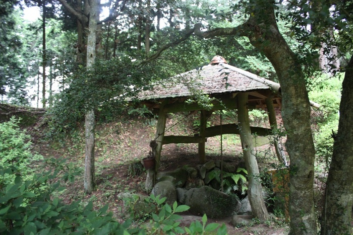 芭蕉公園