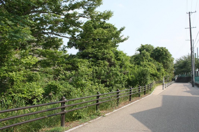 堀の道