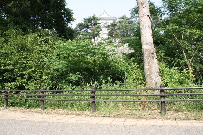 堀の道