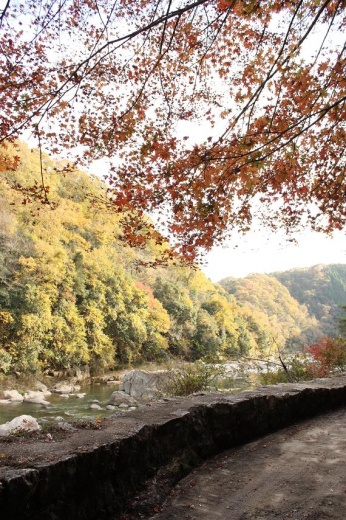 岩倉峡公園　散歩道（発電所跡）