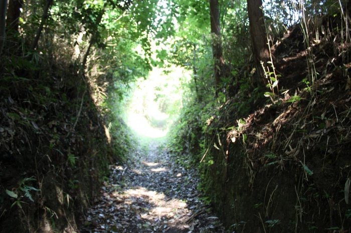 岡山公園