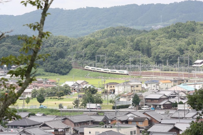 桜山公園