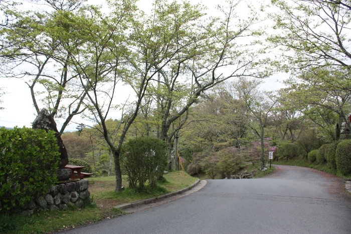 桜山公園