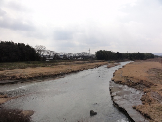 柘植川河岸