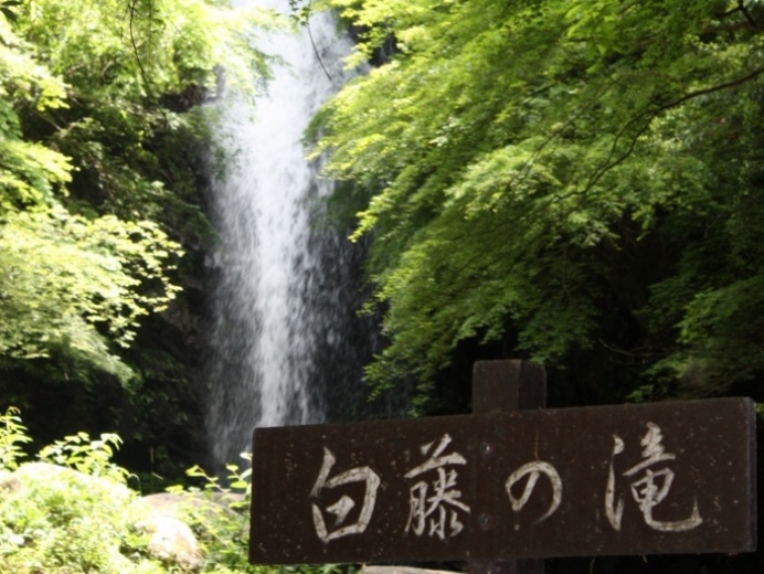 白藤滝