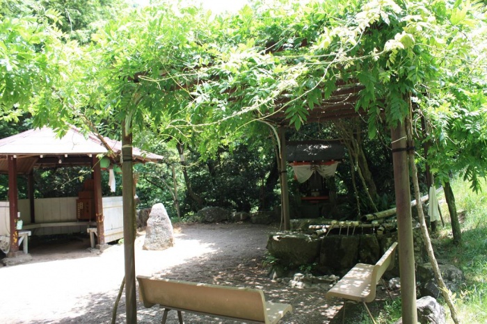白藤滝