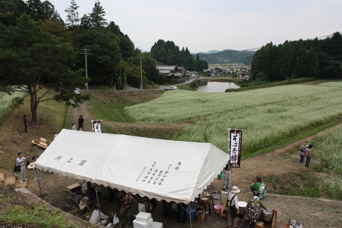 川上　そば畑