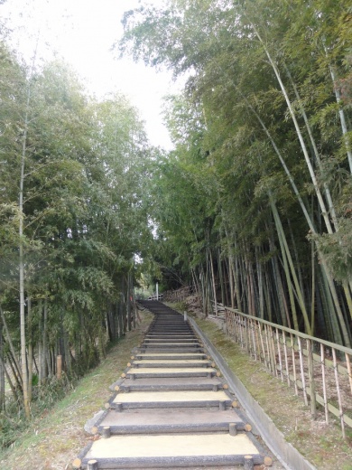 竹の道
