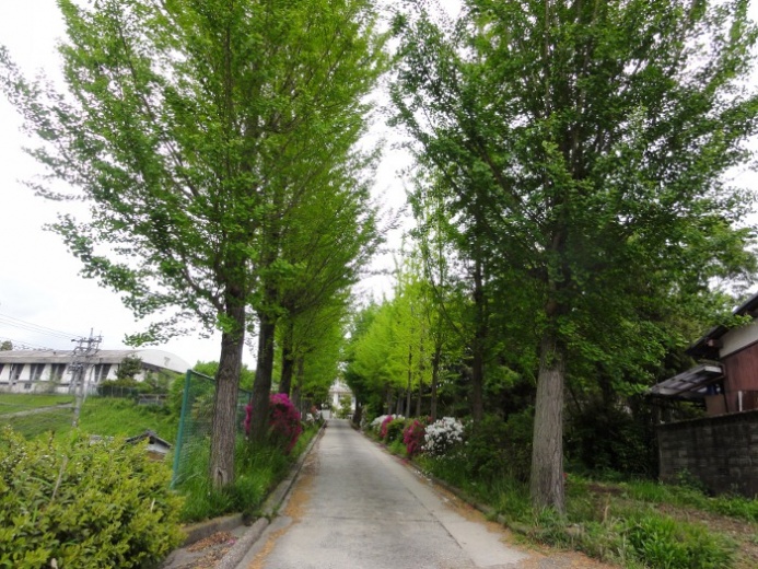 旧桃青中学校