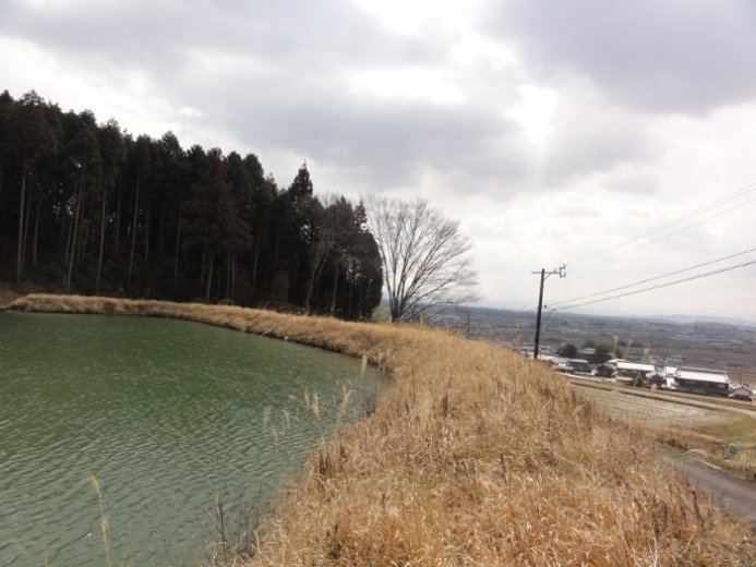 外山地区からの眺め