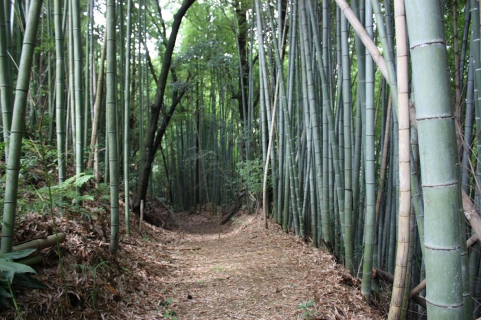 和銅の道