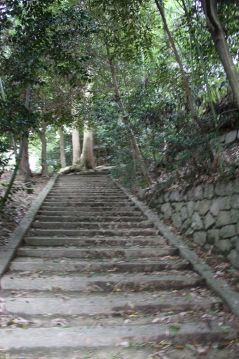 猪田（いだ）神社（下郡）