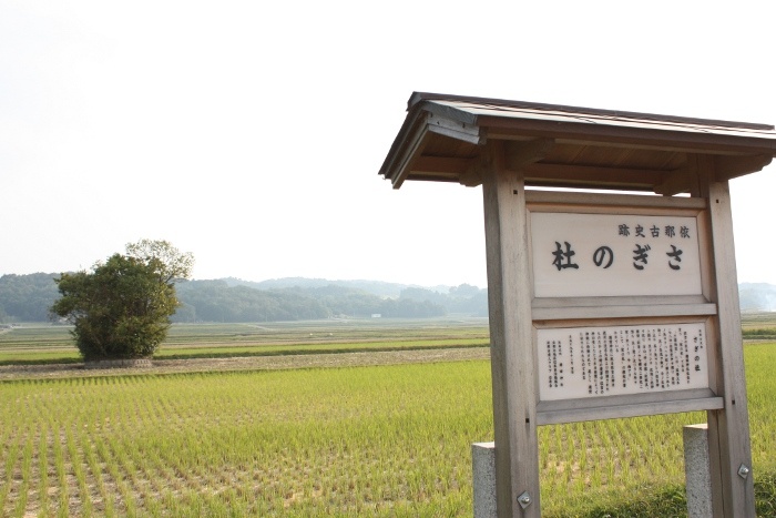 さぎの杜(もり)