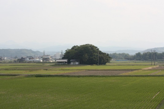 垂園森（たれそのもり）