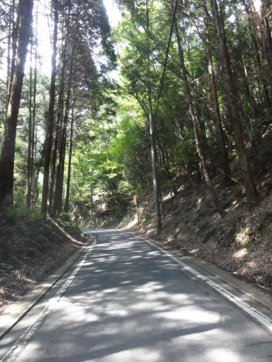 国道422号線・三田～諏訪
