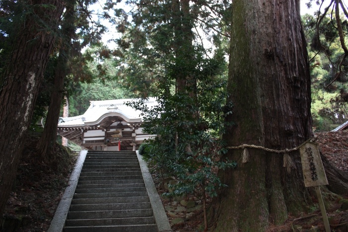 諏訪（すわ）神社