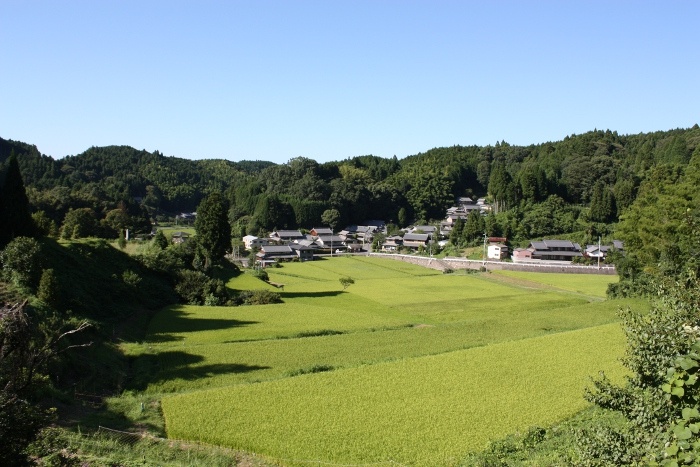 種生地区見晴らし台（ほたるの里）