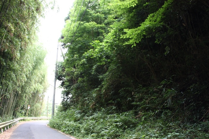 和銅の道(東高倉)