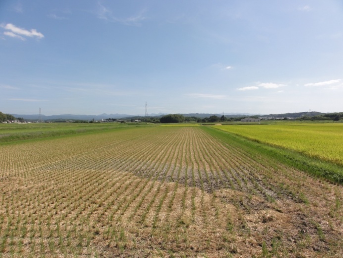 田園風景(四十九町)