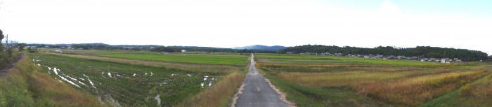 田園風景(四十九町)