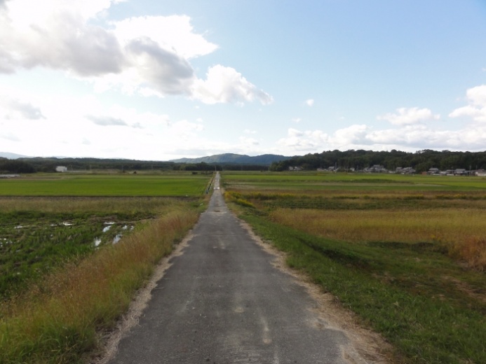 田園風景(四十九町)