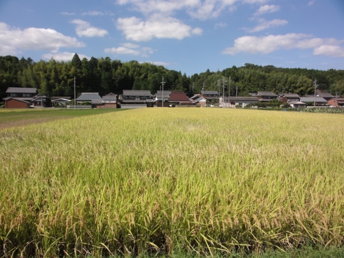 田園風景(四十九町)