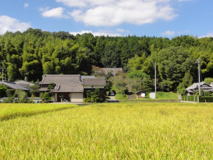 田園風景(四十九町)