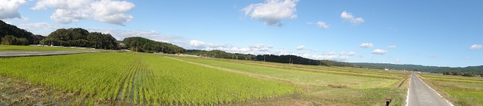 田園風景(比自岐地区)
