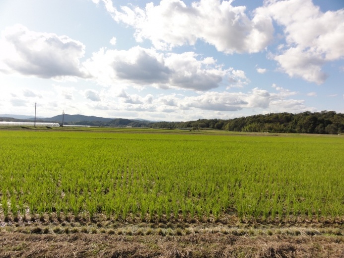 田園風景(比自岐地区)