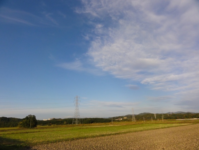 田園風景の中の鉄塔