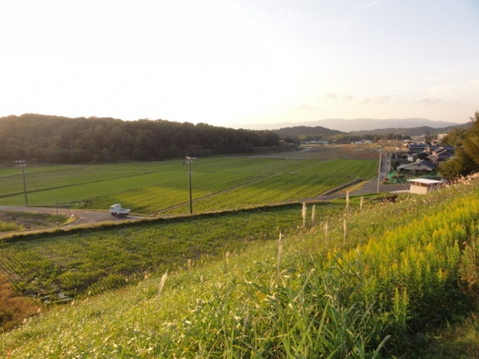 田園風景(友生地区)