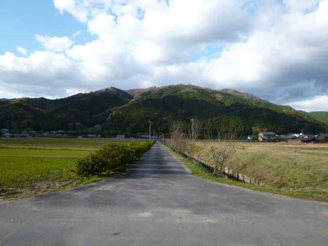真っすぐな道(下阿波)