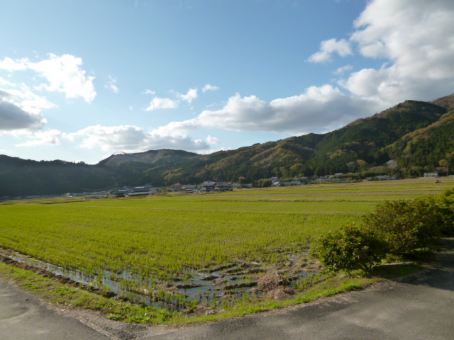 真っすぐな道(下阿波)