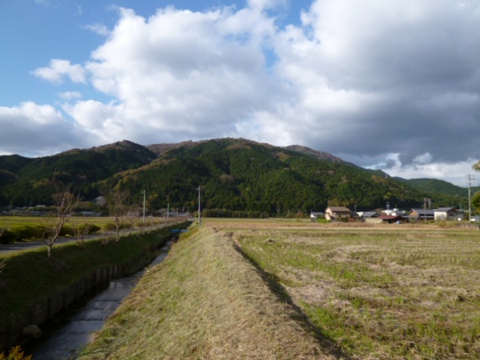 真っすぐな道(下阿波)