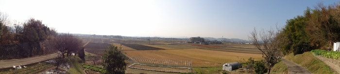 田園風景(高畑)