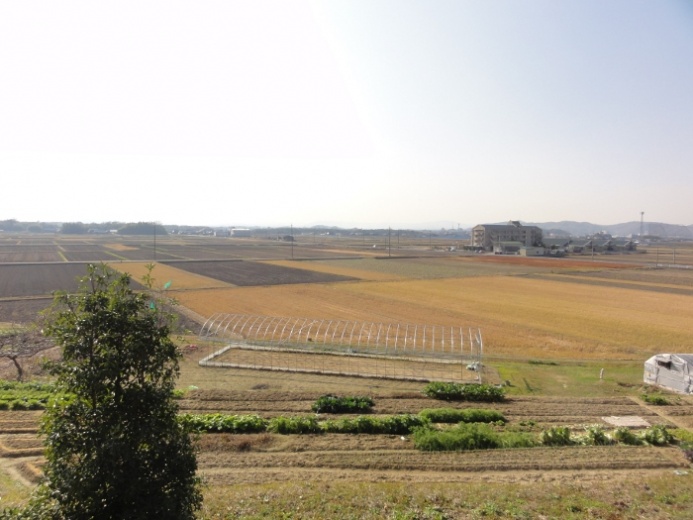 田園風景(高畑)