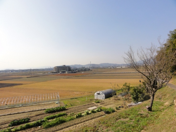 田園風景(高畑)